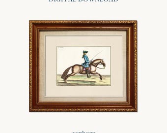Vintage Horse & Rider Illustration | French Equestrian Art (Digital Download)