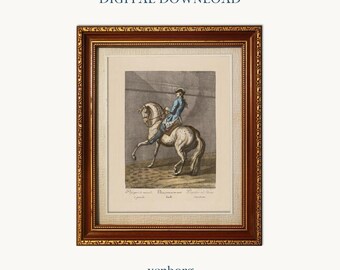 Vintage Horse and Rider Illustration | Equestrian Art Print (Digital Download)