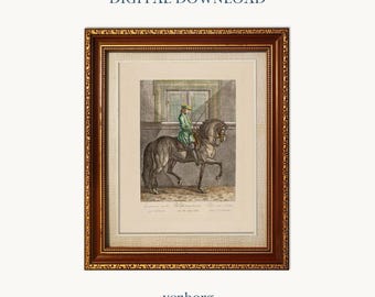 Vintage Horse Rider Illustration | Equestrian Wall Art (Digital Download)