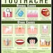 Toothache Oral Care Pain Relief Herbal Cinnamon Clove Peppermint ...