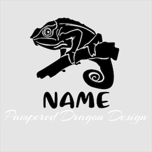 Chameleon vinyl decal stickers/ tank sticker/ name sticker/personalized window lettering-2