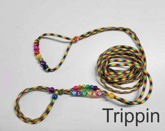 Bearded Dragon Harness - Reptile - Small Pet Leash - Adjustable Paracord Leash - Personalized