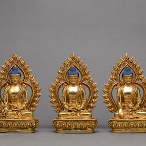 3 Buddha Statue  Set | Hand-carved Buddhist Sculpture of Medicine Buddha | Shakyamuni Buddha | Amitabha Buddha | Tibetan Vajrayana Statues