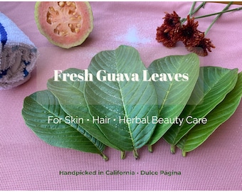 Fresh Guava Leaves: Herbal Skin & Hair Beauty Care