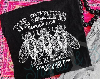 The Cicadas reunion tour live in concert