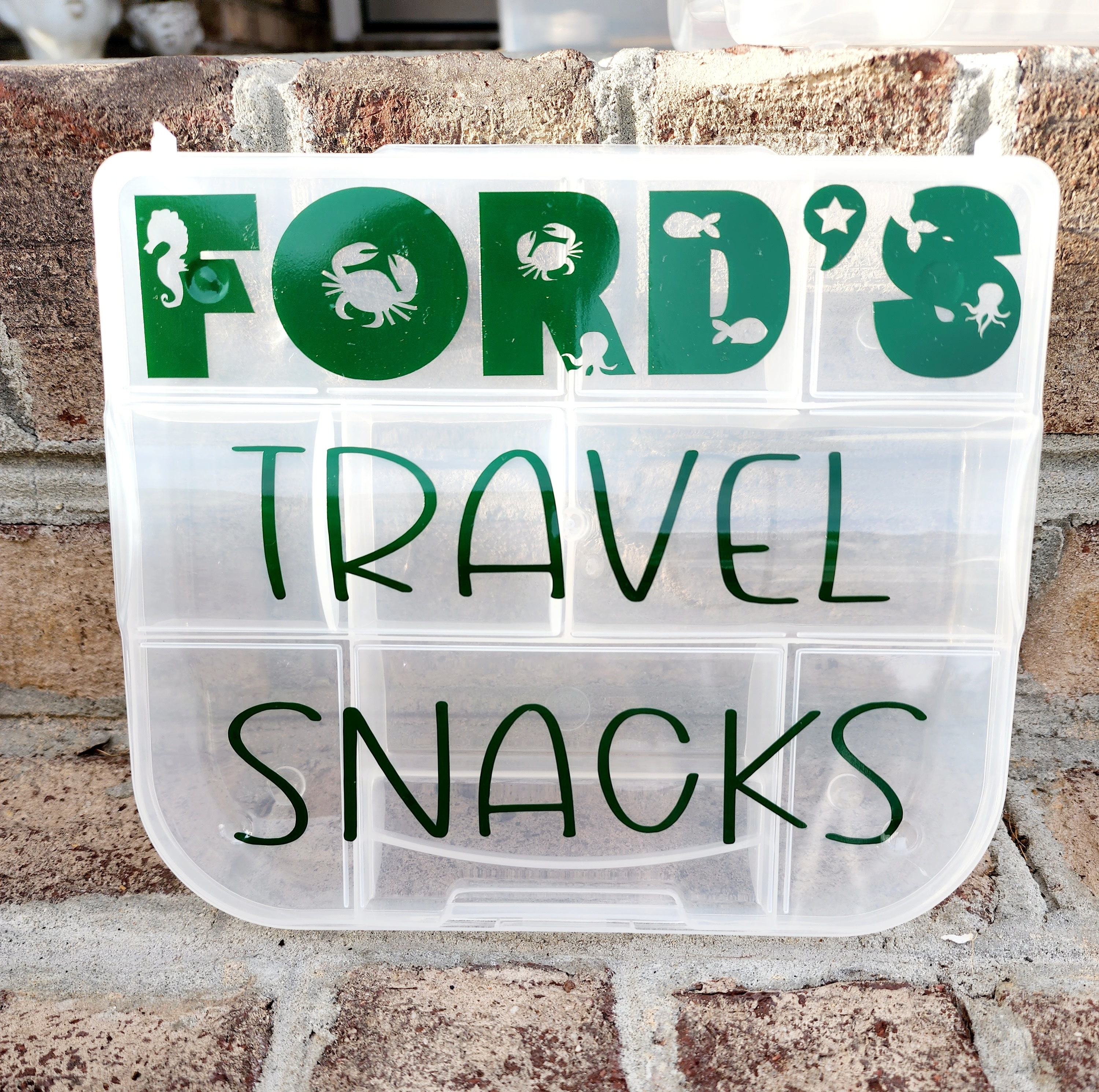 Summer Road Trip Lunch Boxes and Snack Packs