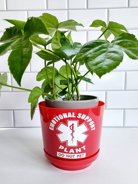 Emotional Support Plant Planter, Funny Plant Lover Gift, 6 inch