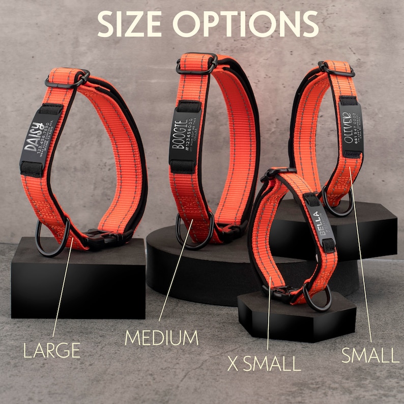 May include: Four orange dog collars with black hardware and personalised name tags in different sizes: Large, Medium, X-Small, and Small. The collars are displayed on black stands.