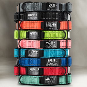 May include: A stack of colourful dog collars with personalised name tags and phone numbers. The collars are made of durable nylon webbing and feature reflective stitching for added safety.