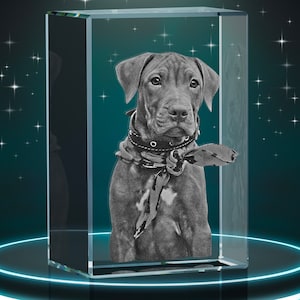 Pet Memorial Gift • Pet Loss Gift • Personalized Pet 3D Engraved Crystal Photo • Dog Loss Gift • Pet Bereavement Gift • Pet Sympathy Gift