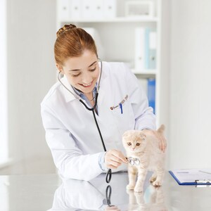 以下が含まれることがあります： 獣医が、小さな薄い茶色の子猫を聴診器で診察しています。獣医は、聴診器を首にかけた白い白衣を着ています。子猫はステンレス製のテーブルの上に立っています。