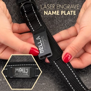May include: A black dog collar with two silver name tags. The top tag reads "BELLA #123456000 MY MOM GOT ME THIS COLLAR". The bottom tag reads "MOLLY 888 511 2245 15642 SAND CANYON AVE. IRVINE CA 92619". The collar has white stitching.