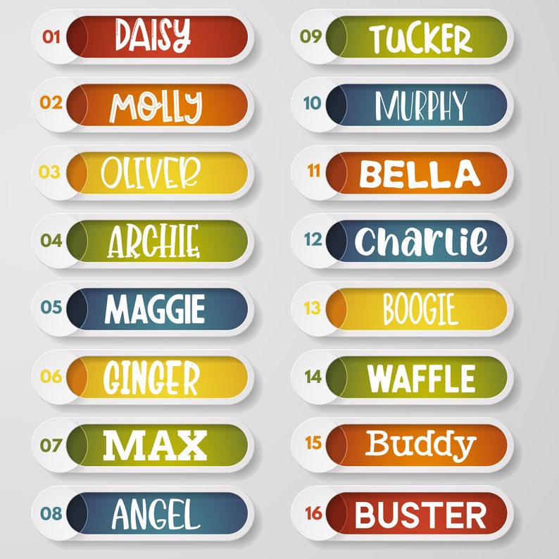 May include: A set of 16 colourful, rounded rectangular labels with white numbers and text. The labels are numbered 1 through 16 and each label has a different name on it. The names are Daisy, Molly, Oliver, Archie, Maggie, Ginger, Max, Angel, Tucker, Murphy, Bella, Charlie, Boogie, Waffle, Buddy, and Buster.