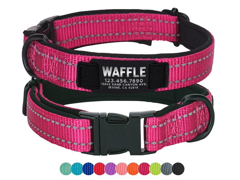 May include: Pink dog collar with a black buckle and a reflective strip. The collar has a black tag with the text "WAFFLE 123.456.7890 15642 SAND CANYON AVE. IRVINE, CA 92619".