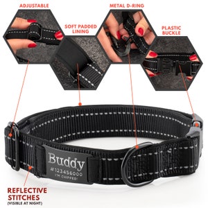 May include: Black dog collar with reflective stitching, a metal D-ring, and a plastic buckle. The collar has a soft padded lining and a personalised tag that reads "Buddy #123456000 I'M CHIPPED!"