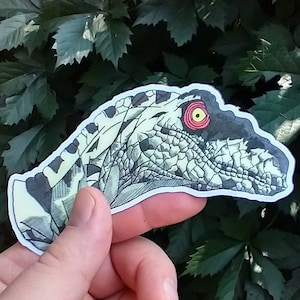 Jurassic Park Velociraptor Sticker- Alpha Femelle!