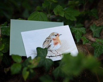 Rotkehlchen - Postkarte