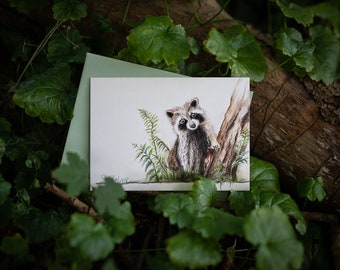 Waschbär im Wald - Postkarte