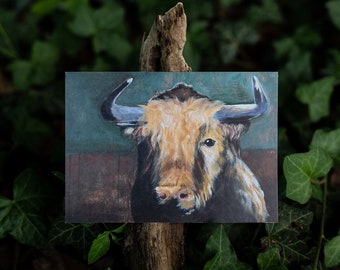 Stier - Postkarte