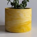 see more listings in the Pots and Planters section