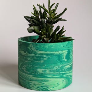 May include: A green marbled ceramic planter with a succulent plant inside. The planter has a swirl pattern and is cylindrical in shape.