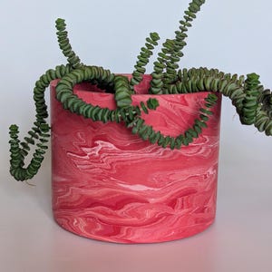 May include: A cylindrical, red and white marbled planter pot holds a trailing succulent plant with green, segmented leaves. The pot has a smooth, glossy finish and sits on a white surface. The plant's stems cascade over the edge.