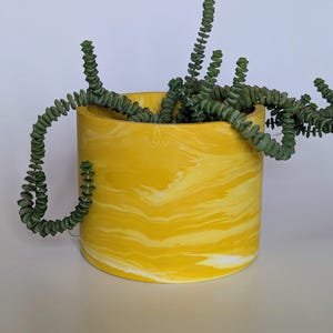 May include: A yellow and white marbled plant pot with a cylindrical shape, containing a green succulent. The pot has a smooth, glossy finish and a rounded base. The succulent has small, round, green leaves and trails over the edge of the pot.