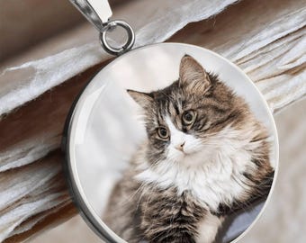 May include: A silver-toned pendant necklace featuring a round charm with a detailed image of a fluffy, brown, and white cat. The cat has large, expressive eyes and a soft, furry appearance. The necklace has a delicate chain.