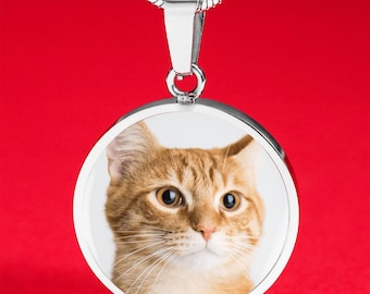 May include: A silver-colored pendant necklace with a round charm featuring a close-up of an orange tabby cat's face. The cat has large, expressive eyes and a white chest, set against a white background.