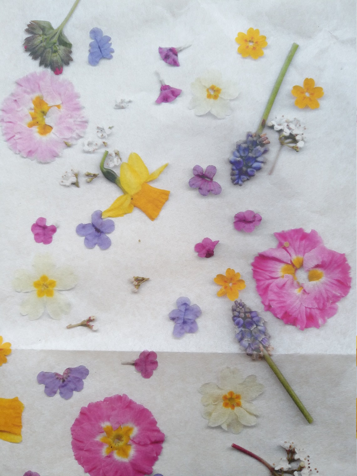 Spring Flowers Printed Rice Paper Etsy