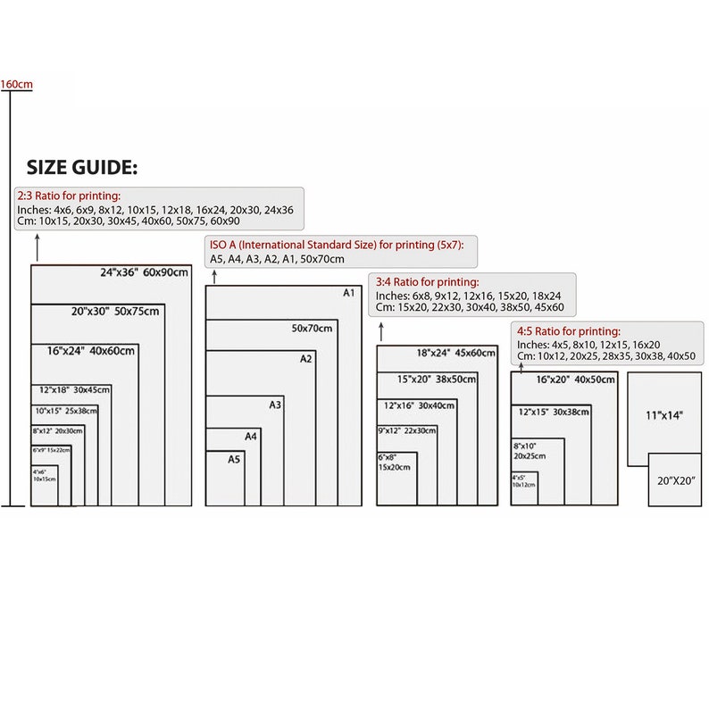 May include: A size guide for printing photos and artwork. The guide shows the standard sizes for printing in inches and centimeters, including 2:3, 3:4, and 4:5 ratios. The guide also includes the ISO A standard sizes for printing, such as A1, A2, A3, A4, and A5.
