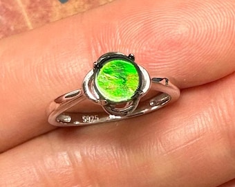 Canadian Ammolite Sterling Silver Ring - Size 6 (6 mm)