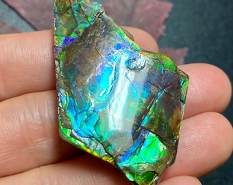 アンモライト宝石 – 天然カナダ産化石宝石 カナダ産アンモナイト自由形