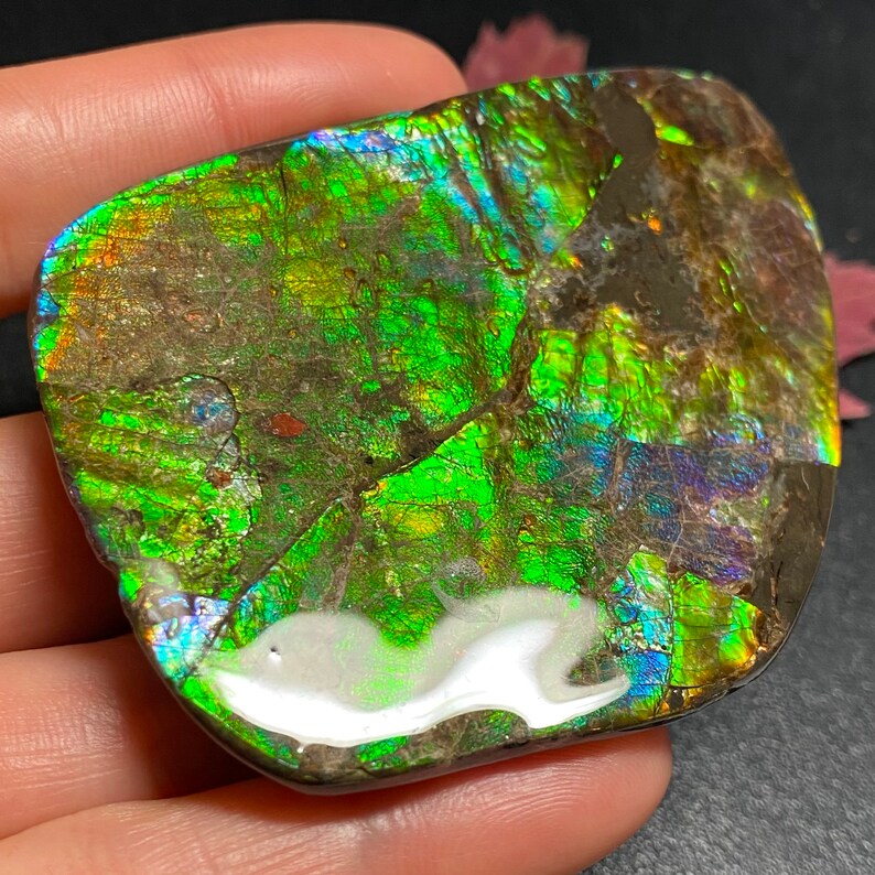 May include: A polished, iridescent ammolite gemstone with a vibrant display of green, gold, and blue hues. The natural stone has a unique, irregular shape and a glossy surface, showcasing its geological beauty.