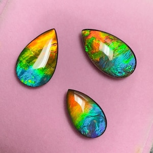Vibrant Canadian Ammolite Triplet Gemstone Rainbow Tear Drop Multiple Options #2832