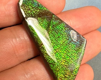 Natural Canadian Ammonite Ammolite Gemstone 47X23 mm #3006-49