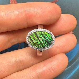 Canadian Ammolite Ring Sterling Silver Adjustable #JR332
