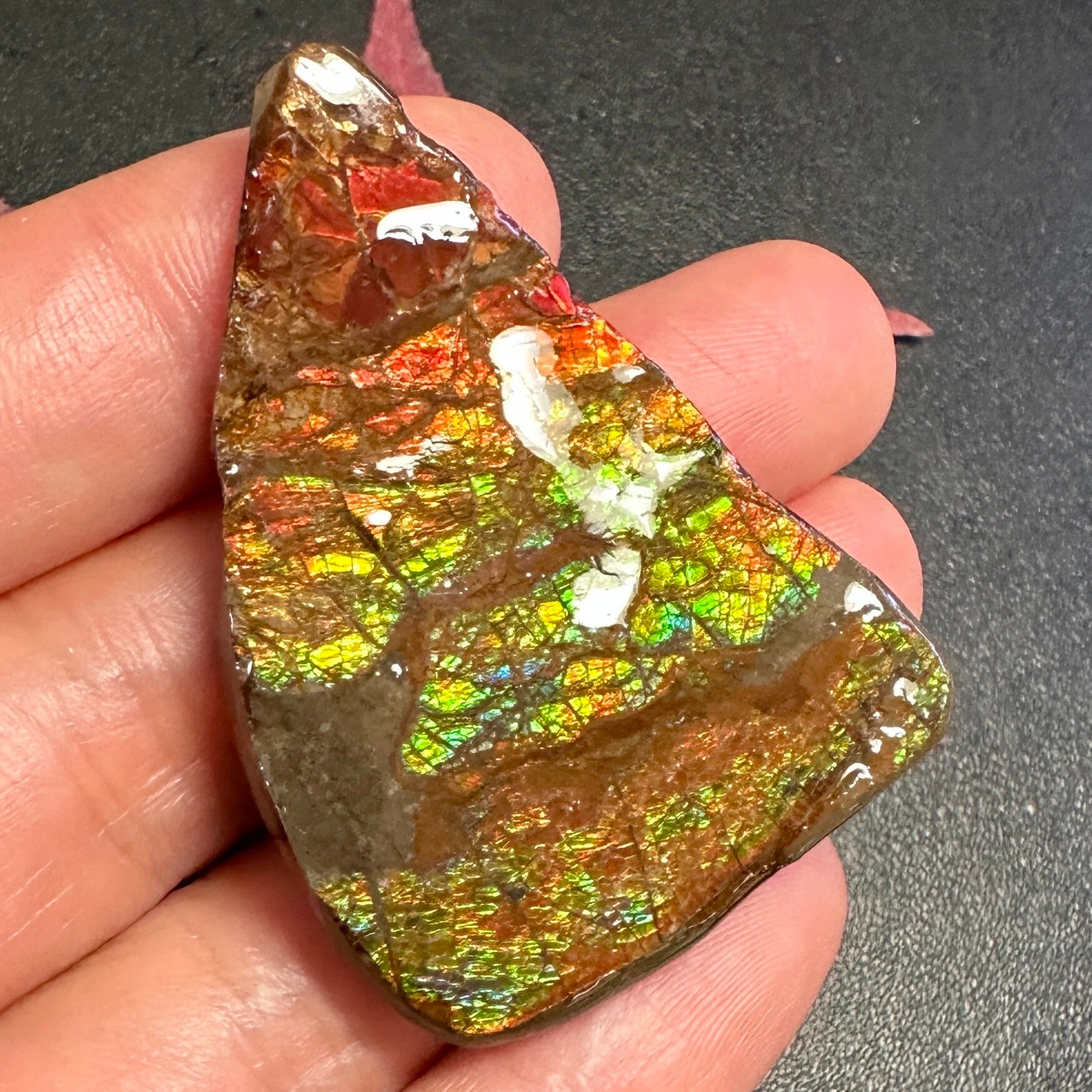 アンモライト超超超美品カナダ産 1.9kg！アンモライト (ammolite 