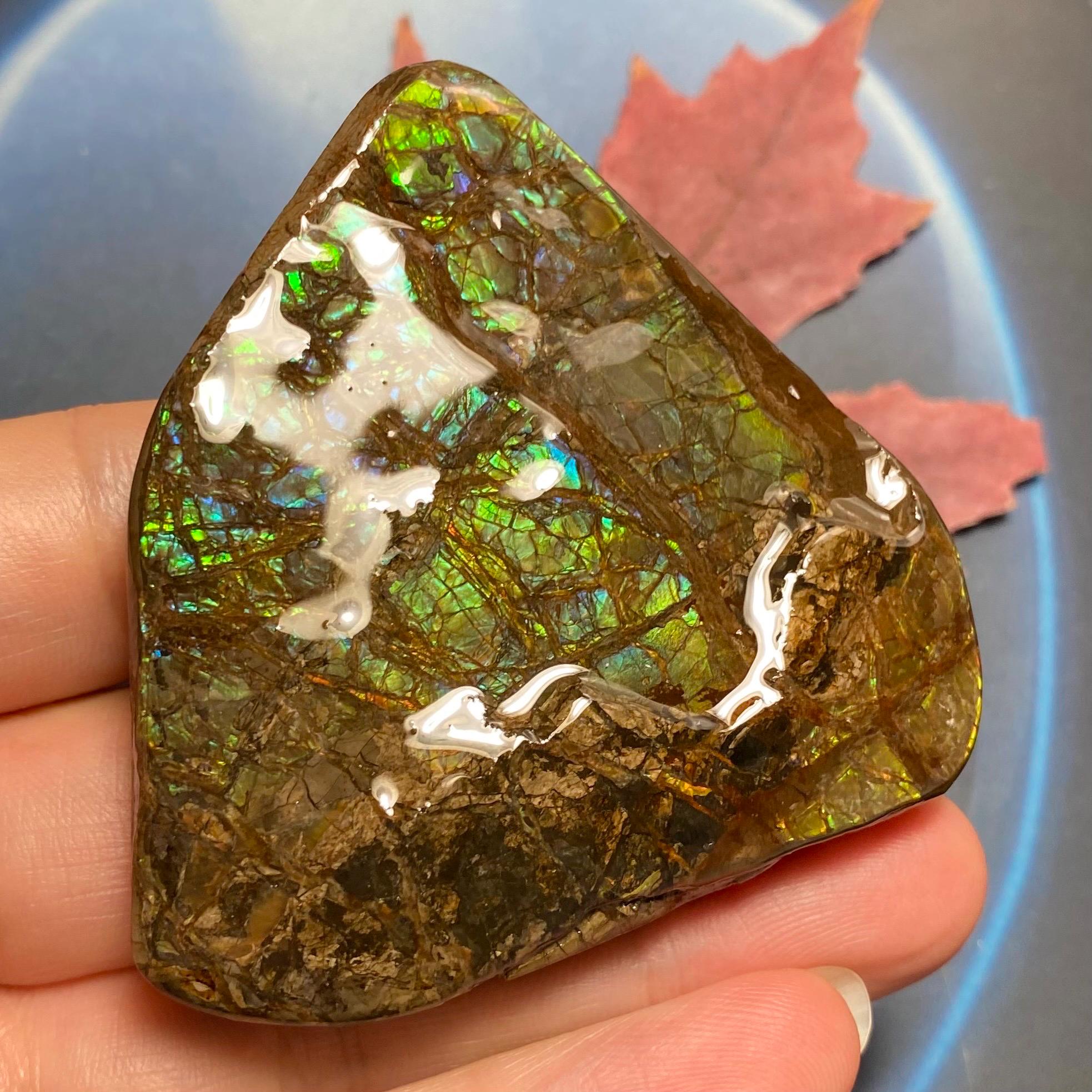 カナダ産アンモライト標本：虹色化石（62X59X11 MM） - Etsy 日本