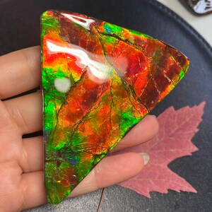 May include: A triangular piece of iridescent ammolite with red, orange, green, and blue hues. The ammolite has a smooth, polished surface.
