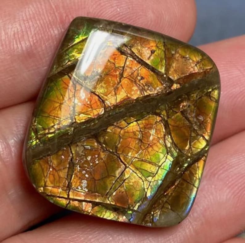 Canadian Ammolite Specimen Rainbow Ammolite Rough Loose Gemstone canadian-ammolite-specimen-rainbow-ammolite-rough-loose-gemstone