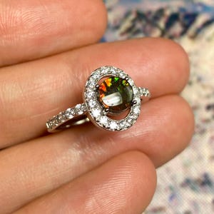Canadian Ammolite Freeform Gemstone Sterling Silver Ring Size 7.5 for Her #448