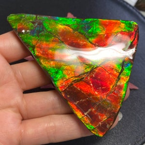 May include: A triangular piece of iridescent ammolite with a red, green, and gold color scheme. The ammolite has a smooth, polished surface and is a natural gemstone.