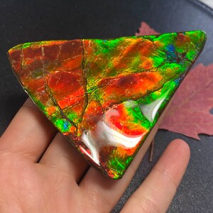 May include: A triangular piece of iridescent ammolite with a red, orange, green, and blue color pattern. The ammolite is polished and has a smooth surface.
