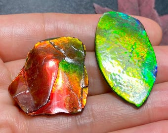 Natural Canadian Ammonite Freeform Specimen Find Your Unique Ammolite Gemstone Nature's Rainbow Treasure Multiple Options