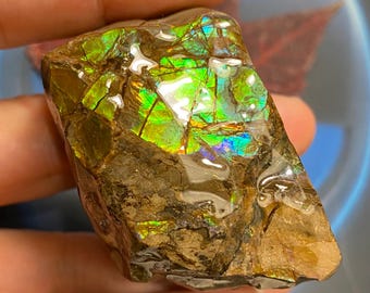 カナダ産アンモライト アンモナイト 両面標本 美品 78X50X42 mm 201