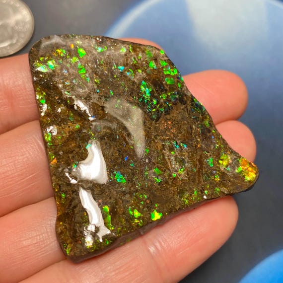 カナダ産アンモライト標本：虹色自由形態化石（49 x 45 mm） - Etsy 日本