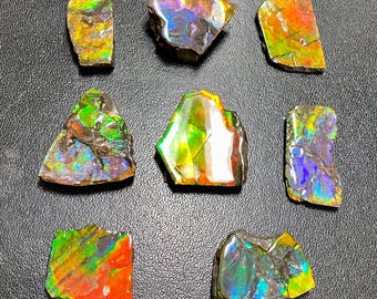 Iridescent Canadian Natural Ammolite Gemstone Specimen Beauty Small #3036