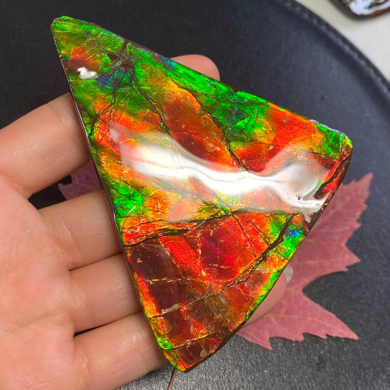 May include: A triangular piece of iridescent ammolite with a red, green, and gold color pattern. The ammolite is polished and has a smooth surface.