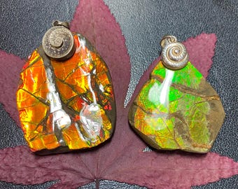 Gift for Mom Canadian Ammolite Freeform Pendant – Natural One of a Kind Gemstone Necklace – Handmade Statement Jewelry Silver Multiple Opt